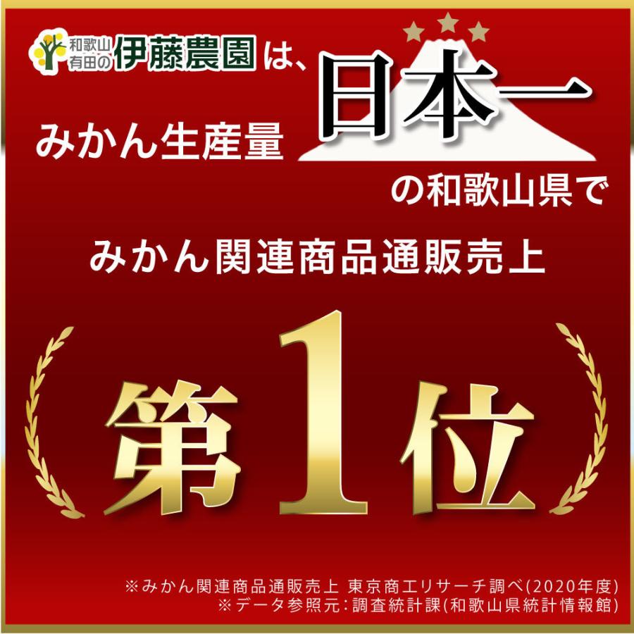 甘夏 あまなつ 訳あり 5kg 和歌山みかん アマナツ 旬 みかん 自宅用 送料無料 箱買い 防腐剤 不使用 北海道 沖縄 送料 770円｜ito-noen｜18