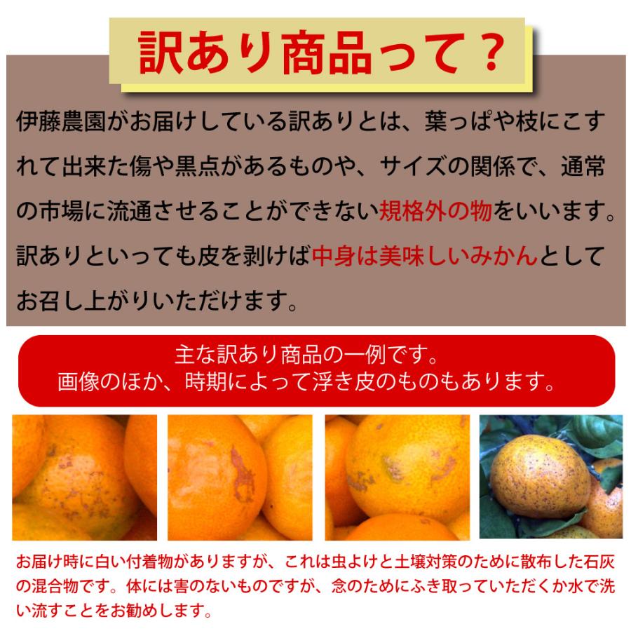 農家直送　完全天日干し　訳あり品　最終処分お買い得価格　箱込み10kg 先行受付・2026年11月～発送》農家直送 完熟有田みかん 10kg | 和歌山