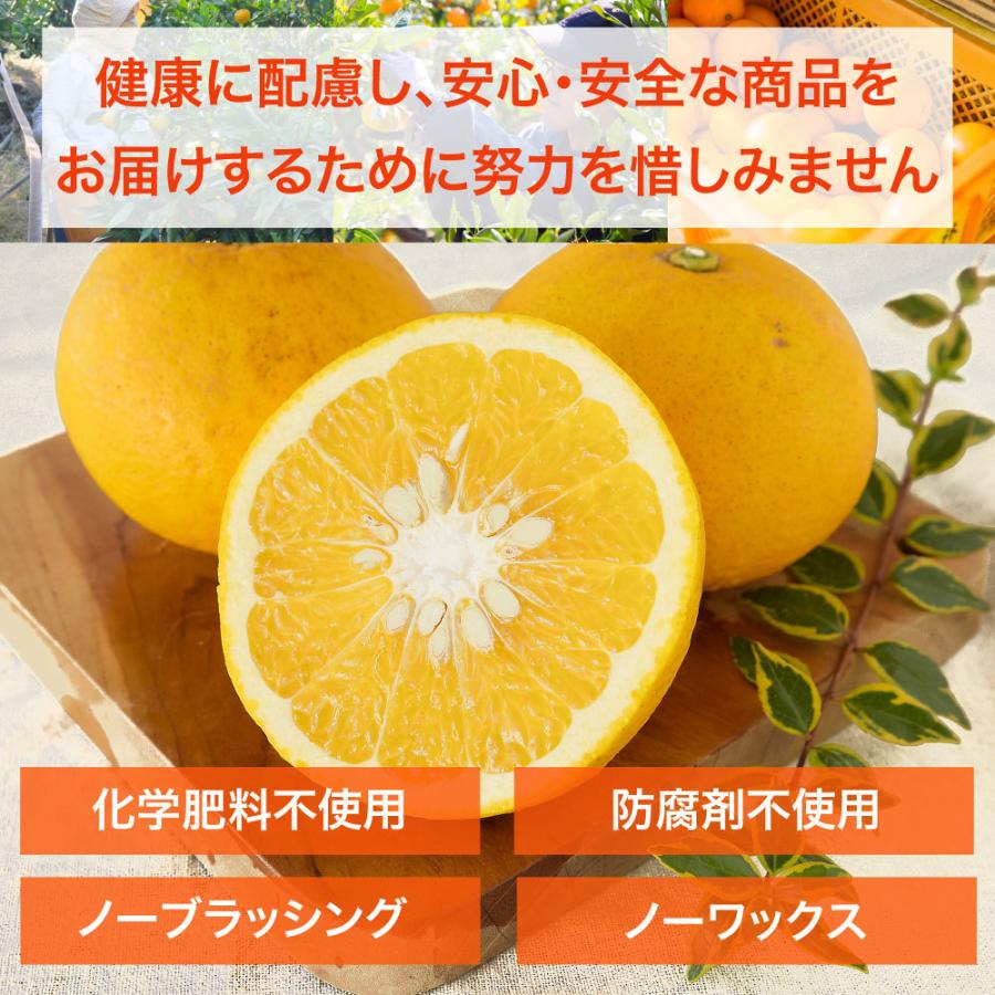 甘夏 あまなつ 訳あり 10kg 和歌山みかん アマナツ 旬 みかん 自宅用 送料無料 箱買い 防腐剤 不使用 北海道 沖縄 送料 770円｜ito-noen｜07