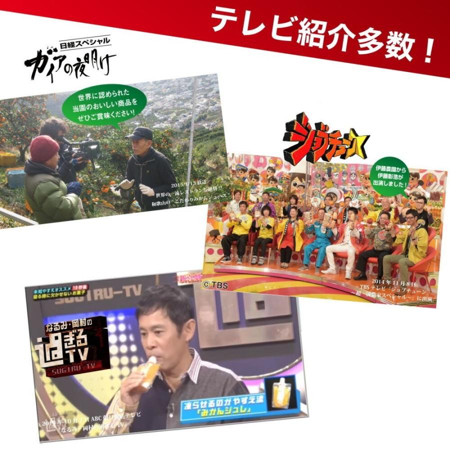 甘夏 あまなつ 訳あり 10kg 和歌山みかん アマナツ 旬 みかん 自宅用 送料無料 箱買い 防腐剤 不使用 北海道 沖縄 送料 770円｜ito-noen｜12