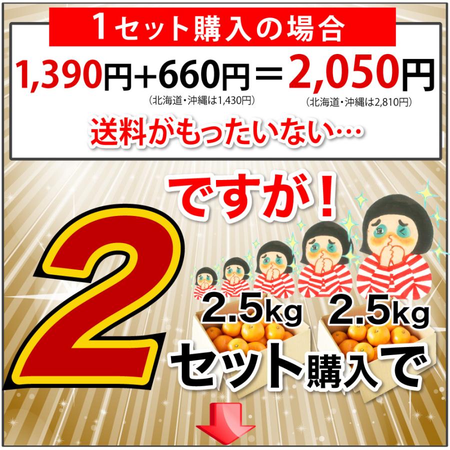 甘夏 あまなつ 訳あり 2.5kg 2箱 購入で 送料無料 3箱 買うと 1箱 おまけ 和歌山みかん アマナツ 旬 みかん 自宅用 箱買い 北海道 沖縄 送料 770円｜ito-noen｜07