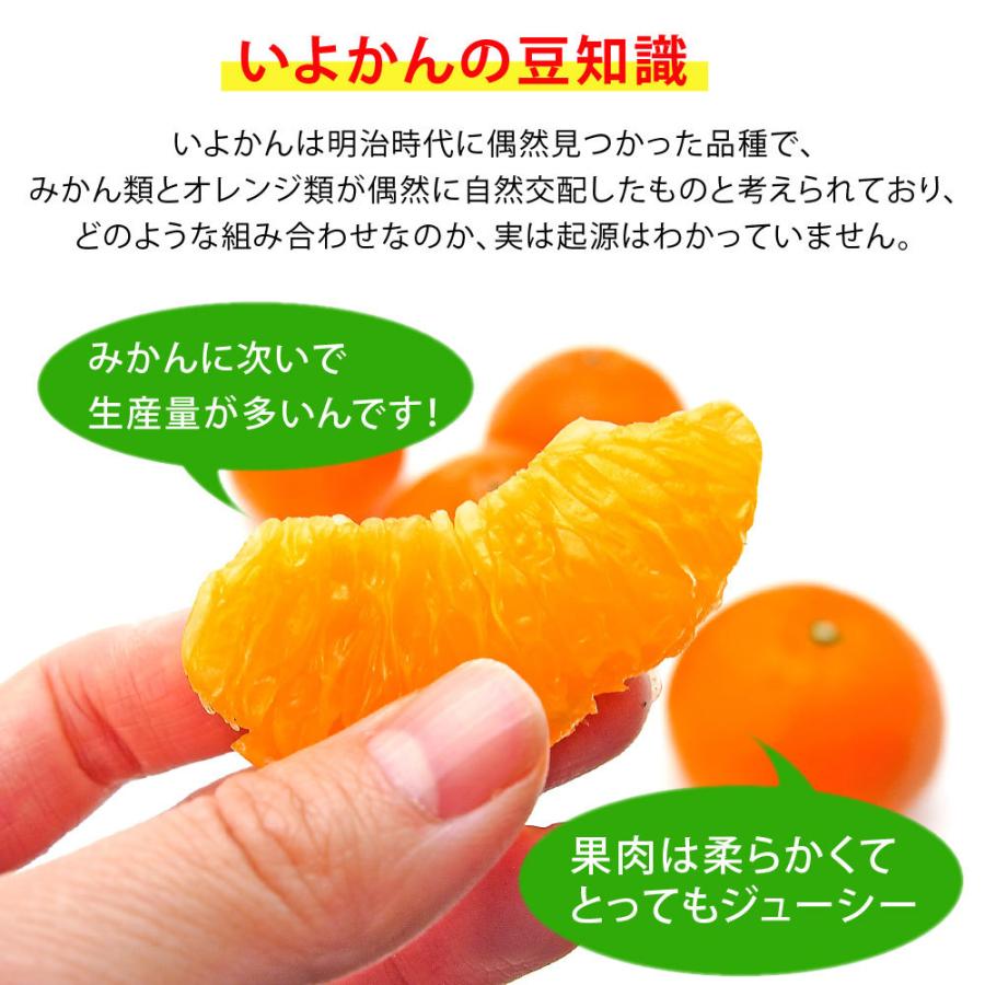 伊予柑 いよかん 5kg 和歌山みかん イヨカン 美品 贈答用 旬 みかん 送料無料 箱買いギフト 北海道 沖縄 送料 770円 314 1 伊藤農園 ジュースと果実 Yahoo 店 通販 Yahoo ショッピング