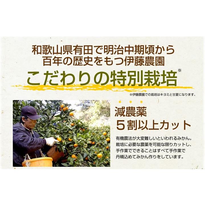 清見 きよみ 訳あり 5kg 和歌山みかん キヨミ 清見オレンジ 旬 みかん 自宅用 送料無料 箱買い 防腐剤 不使用 北海道 沖縄 送料 770円 315 3 伊藤農園 ジュースと果実 Yahoo 店 通販 Yahoo ショッピング