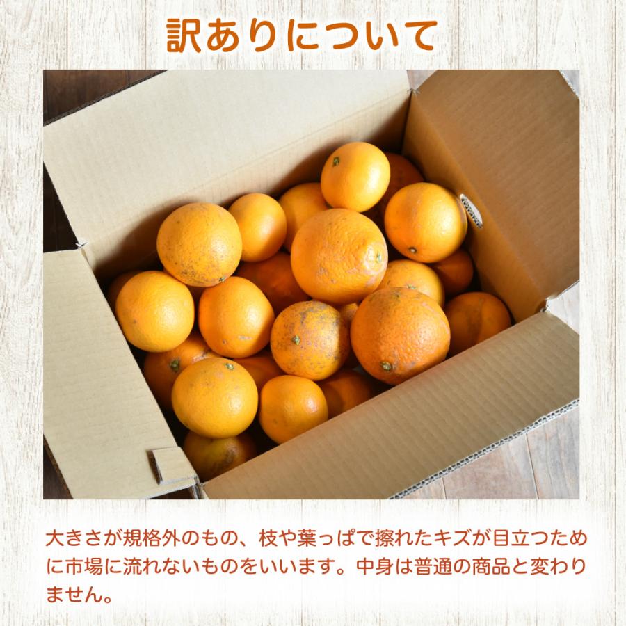 伊藤農園 清見 きよみ 訳あり 5kg 和歌山みかん キヨミ 清見オレンジ