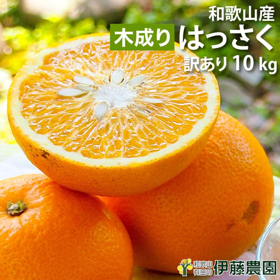 朔太郎様専用 贈答用☆たんかん10キロ♪ 【公式通販】