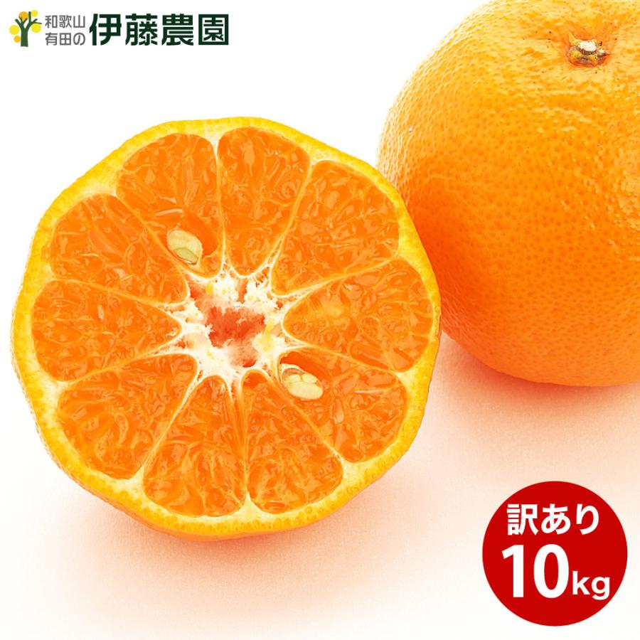 伊藤農園 ポンカン ぽんかん 訳あり 10kg 和歌山みかん 旬 みかん 自宅