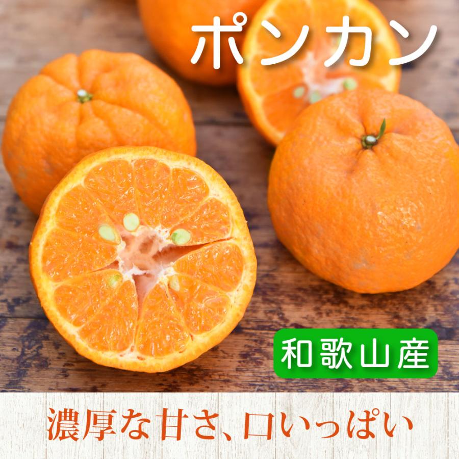 伊藤農園 ポンカン ぽんかん 訳あり 10kg 和歌山みかん 旬 みかん 自宅