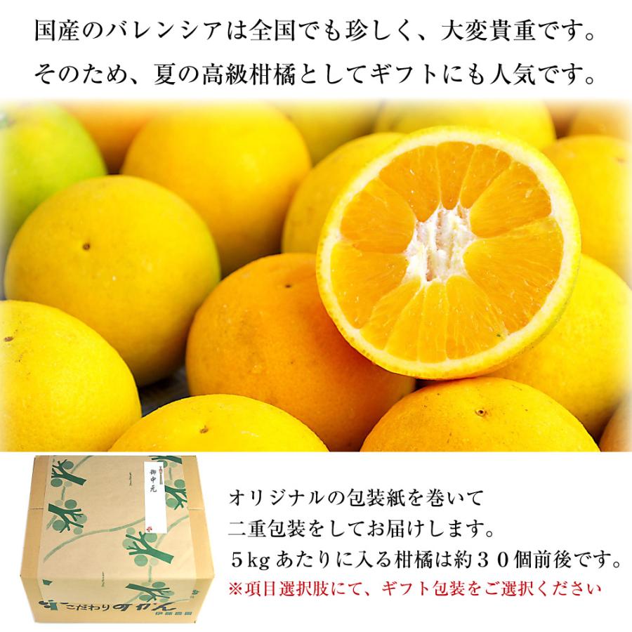 ギフト フルーツ バレンシアオレンジ 5kg 和歌山みかん 美品 贈答用 旬 みかん オレンジ 送料無料 箱買いギフト お中元 3 1 伊藤農園 ジュースと果実 Yahoo 店 通販 Yahoo ショッピング