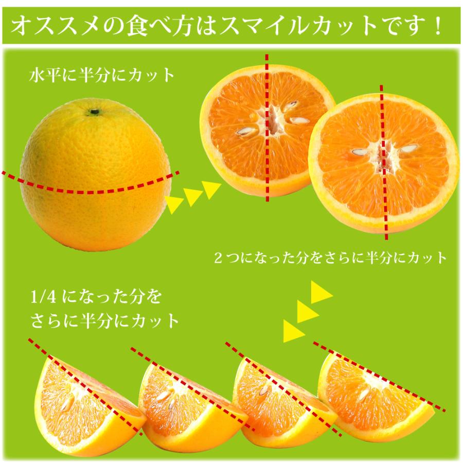 ギフト フルーツ バレンシアオレンジ 10kg 和歌山みかん 美品 贈答用 旬 みかん オレンジ 送料無料 箱買いギフト 3 2 伊藤農園 ジュースと果実 Yahoo 店 通販 Yahoo ショッピング