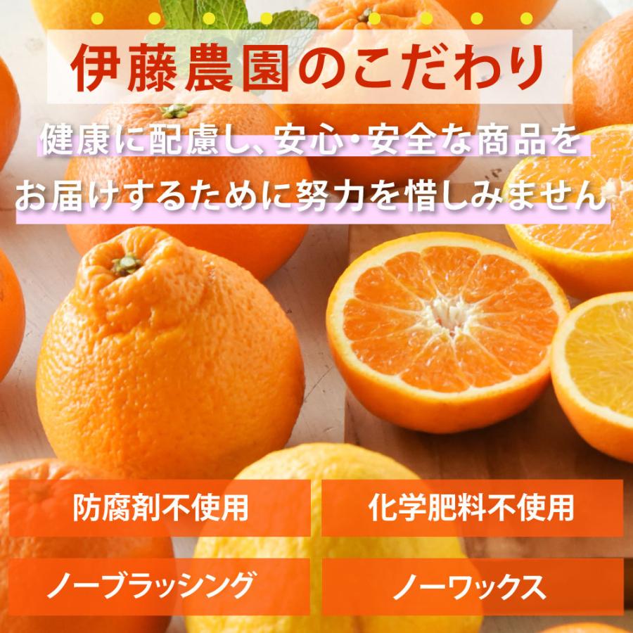 みかん デコみかん 10kg 不知火 デコポン 同品種 和歌山みかん 送料無料 防腐剤 不使用 北海道 沖縄 送料 770円 お取り寄せ フルーツ 322 2 伊藤農園 ジュースと果実 Yahoo 店 通販 Yahoo ショッピング
