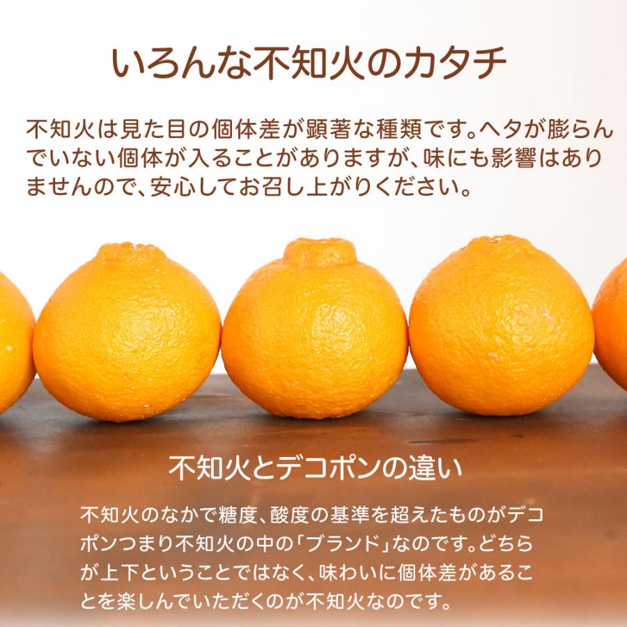 伊藤農園 みかん 不知火 訳あり 2.5kg 2箱 購入で 送料無料 3箱 買うと