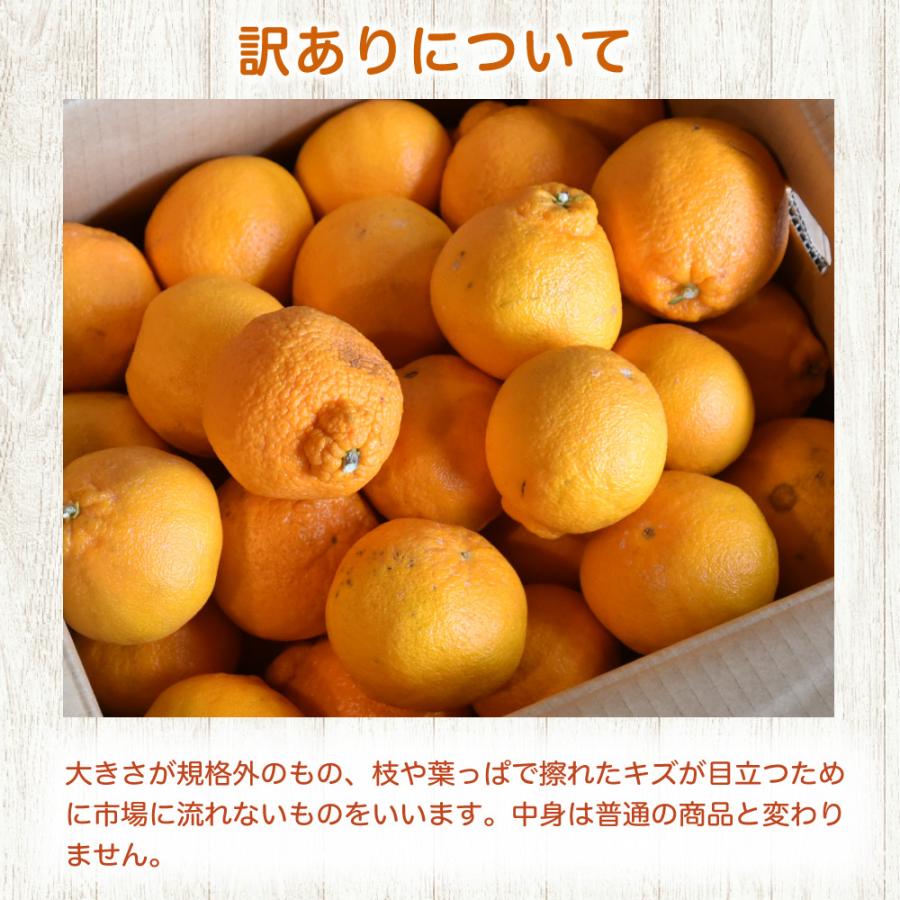 伊藤農園 お中元 みかん 不知火 訳あり 2.5kg 2箱 購入で 送料無料 3箱