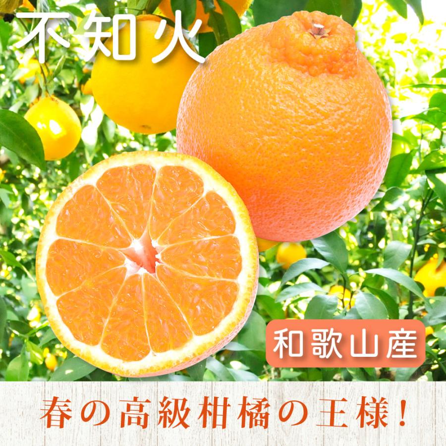 伊藤農園 みかん 不知火 訳あり 2.5kg 2箱 購入で 送料無料 3箱 買うと
