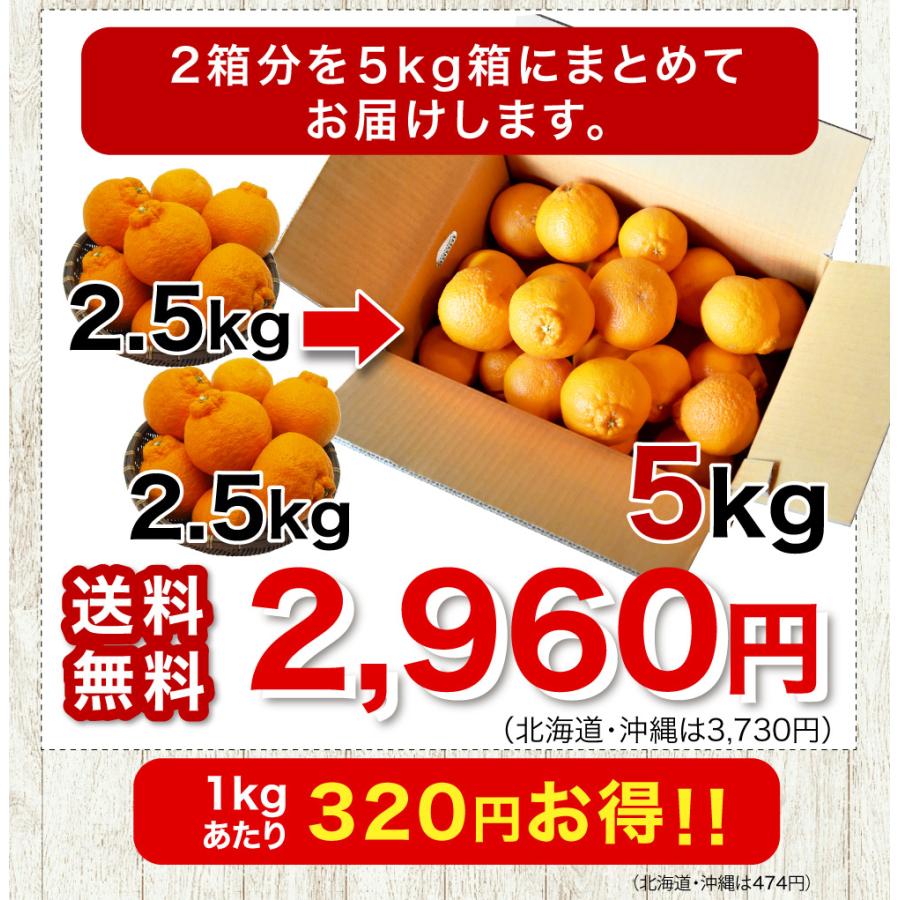 伊藤農園 みかん 不知火 訳あり 2.5kg 2箱 購入で 送料無料 3箱 買うと