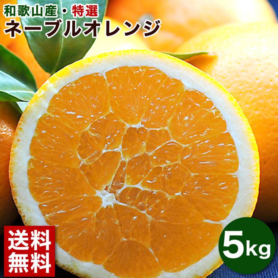 ネーブルオレンジ 5kg 和歌山みかん 美品 贈答用 旬 みかん ねーぶる オレンジ 送料無料 ギフト 北海道 沖縄 送料 770円 324 1 伊藤農園 ジュースと果実 Yahoo 店 通販 Yahoo ショッピング