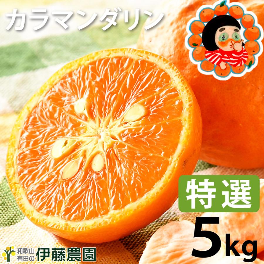 カラマンダリン 5kg 和歌山みかん 美品 贈答用 旬 みかん オレンジ 送料無料 箱買いギフト 北海道 沖縄 送料 770円 326 1 伊藤農園 ジュースと果実 Yahoo 店 通販 Yahoo ショッピング