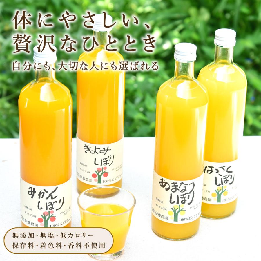 伊藤農園 みかんジュース フルーツ オレンジジュース ストレート 750ml
