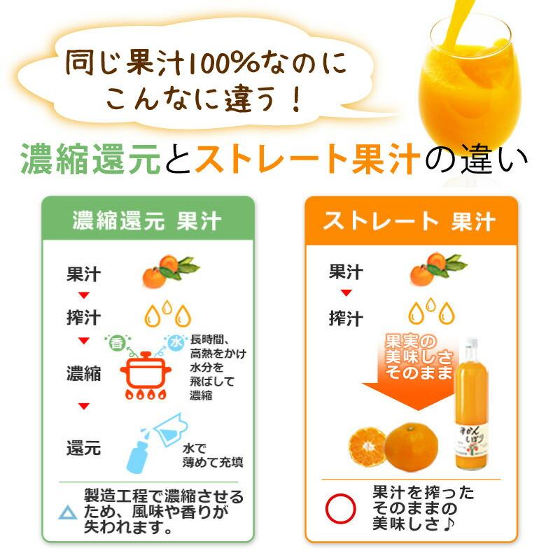 母の日ギフト 2024 みかんジュース オレンジジュース  ストレート 飲料 和歌山 180ml 8本 無添加 健康｜ito-noen｜07
