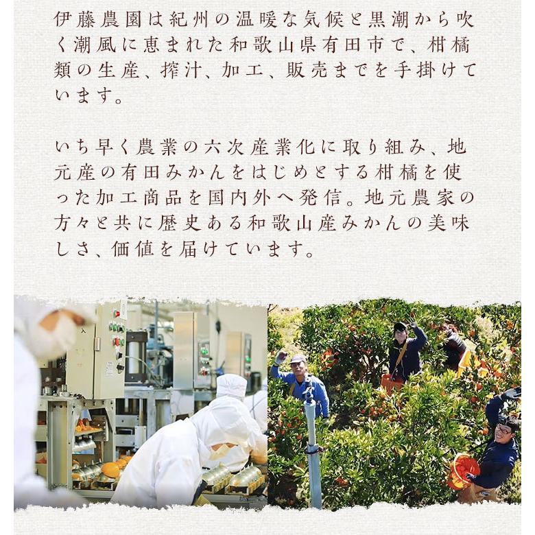 お中元 21 みかんジュース ストレート 和歌山産 飲み比べ 180ml 10本 無添加 ギフト 結婚内祝 出産内祝 誕生日 快気祝 暑中見舞 gi 伊藤農園 ジュースと果実 Yahoo 店 通販 Yahoo ショッピング