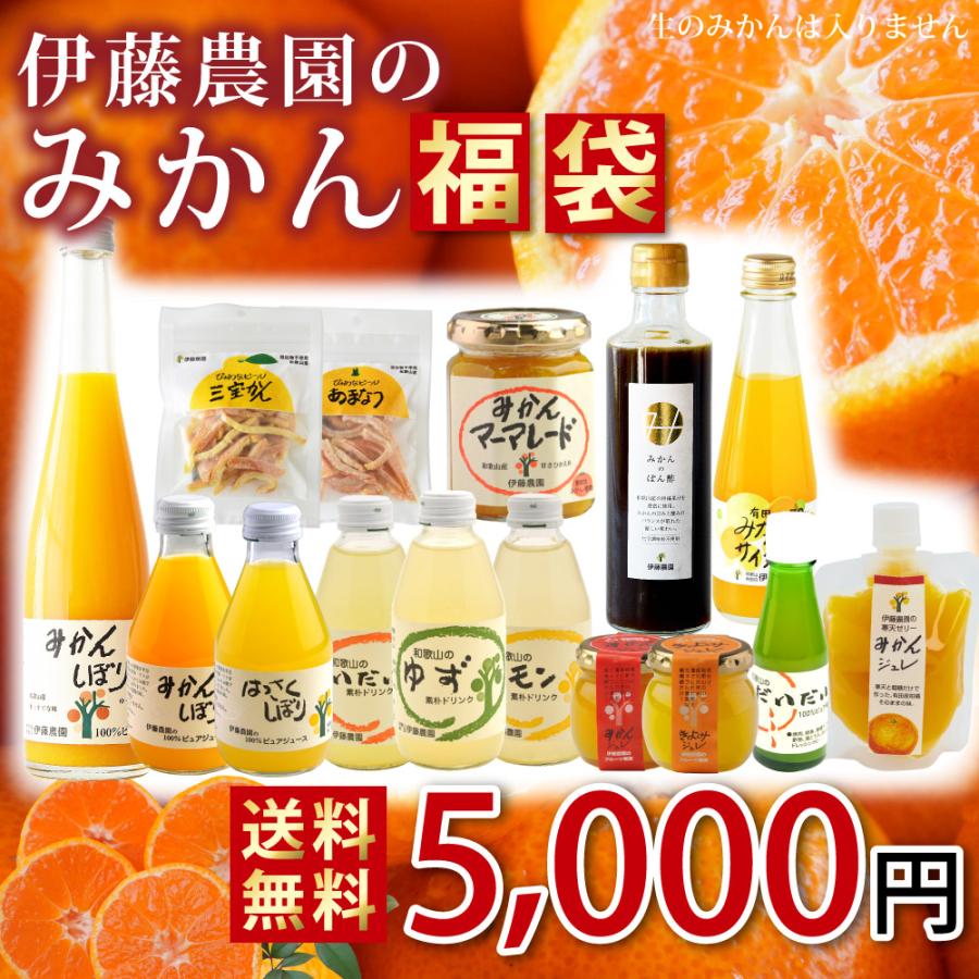 伊藤農園 福袋 食品みかんジュースみかんゼリー マーマレード ポン酢