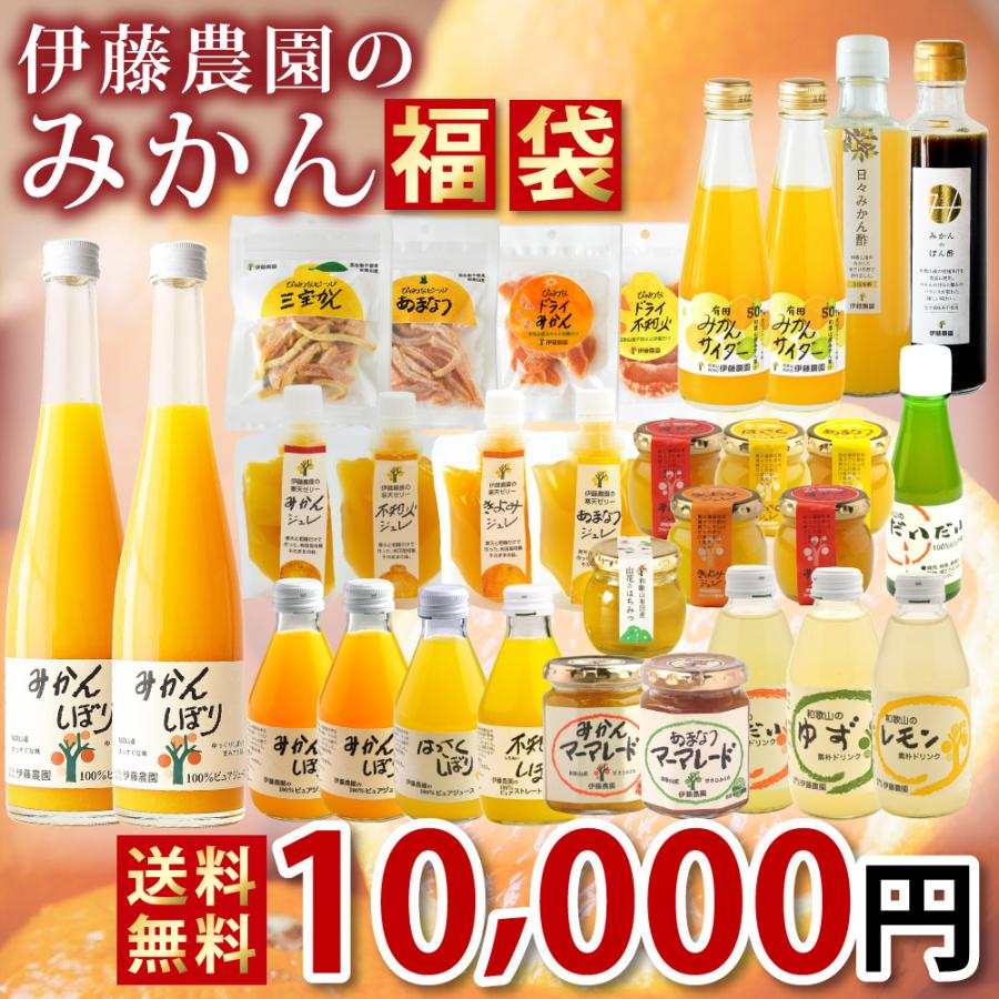 伊藤農園 福袋 食品みかんジュースみかんゼリー マーマレード ポン酢