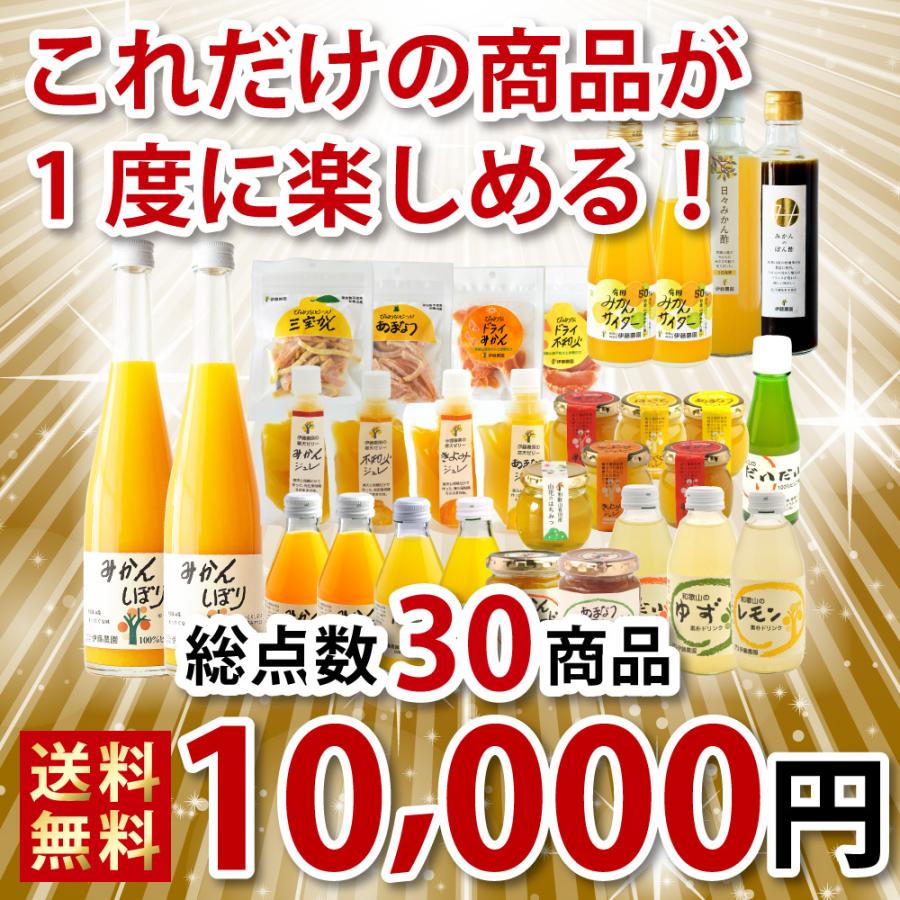 伊藤農園 福袋 食品みかんジュースみかんゼリー マーマレード ポン酢