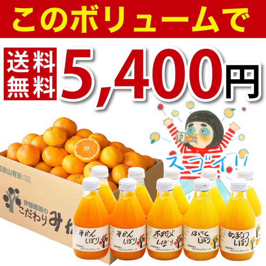 伊藤農園 福袋 食品 みかん 訳ありみかんジュース 有田みかん お試し