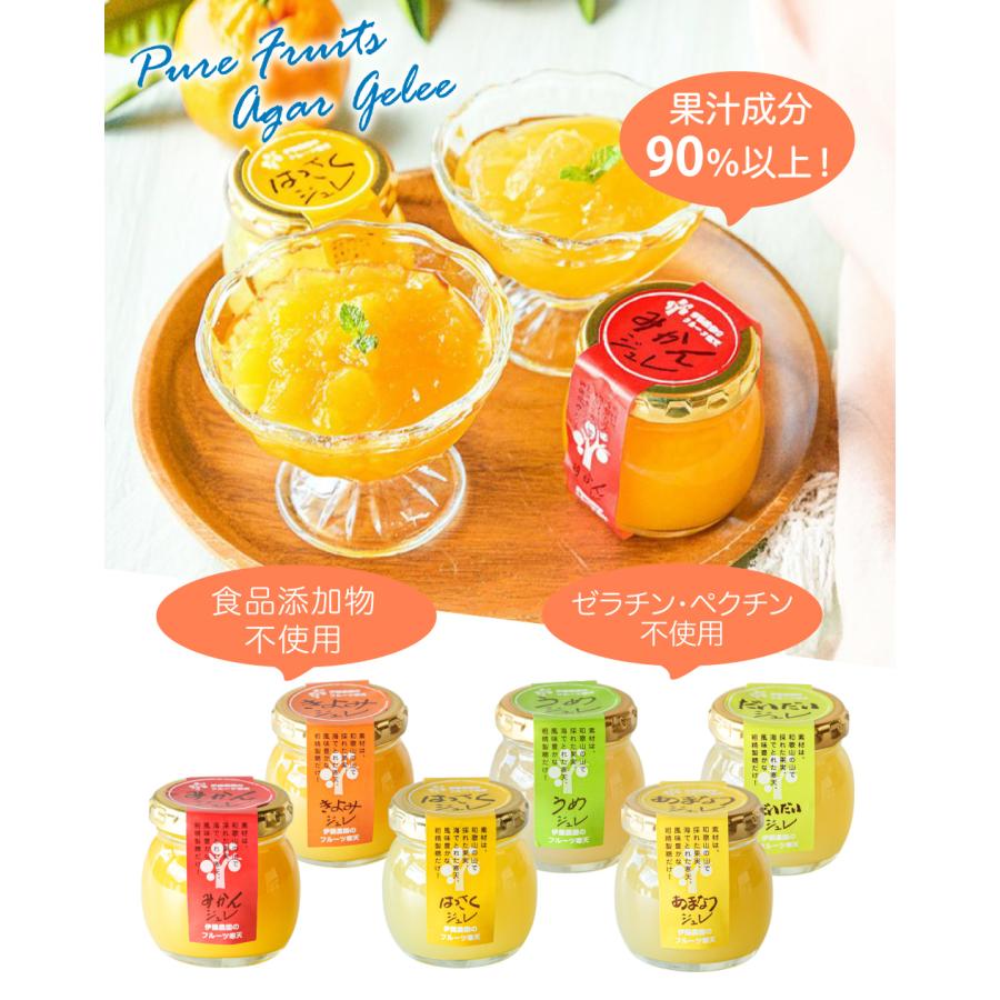 伊藤農園 お歳暮 ギフト プレゼント ゼリー みかんゼリー フルーツ