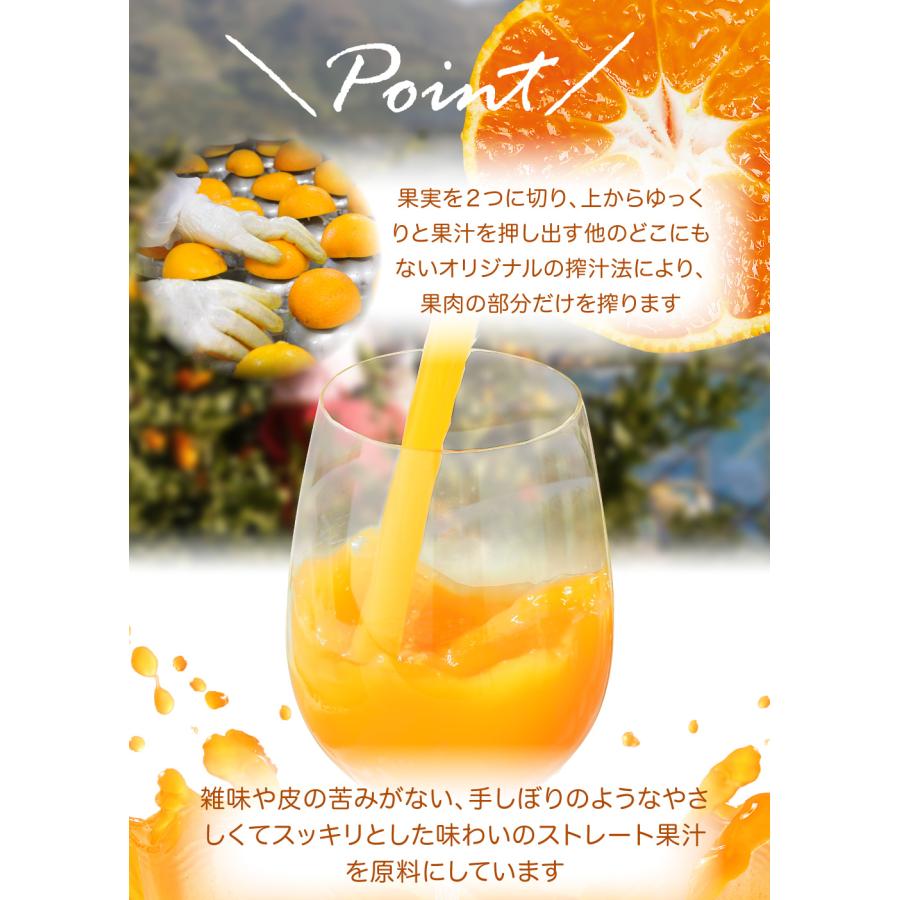 伊藤農園 ギフト プレゼント ゼリー みかんゼリー フルーツゼリー