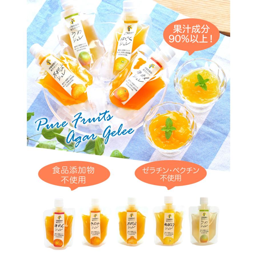 伊藤農園 お試し ネコポス みかんゼリー みかんジュレ スイーツ ゼリー