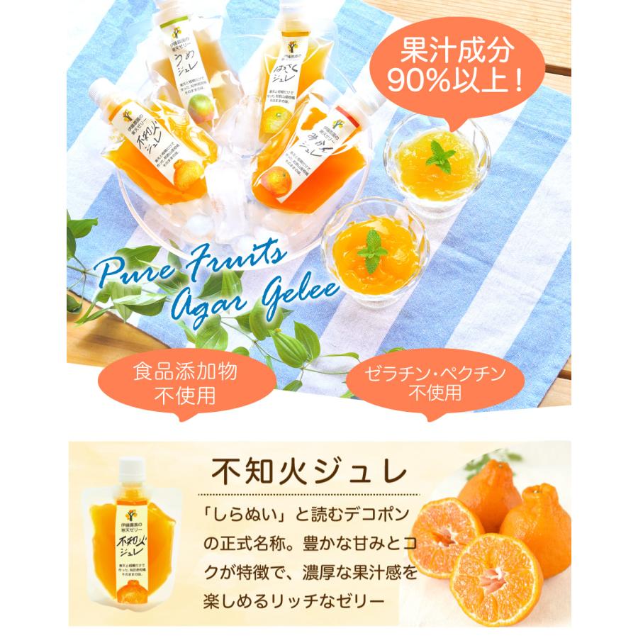 伊藤農園 不知火ゼリー お試し デコポン同品種 フルーツゼリー 瓶詰め