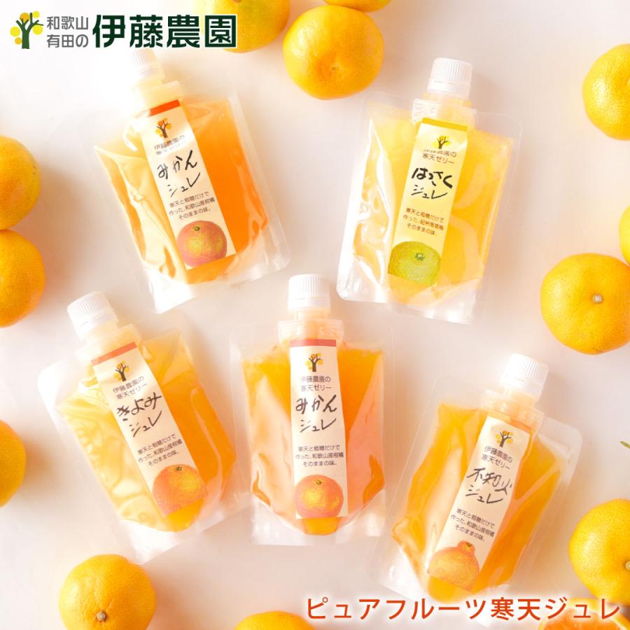 伊藤農園 ゼリー ギフト みかんゼリー フルーツゼリー スイーツ ゼリー 