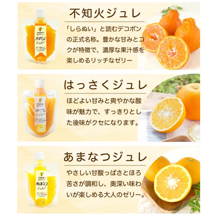 伊藤農園 みかんゼリー みかんジュレ フルーツゼリー みかん