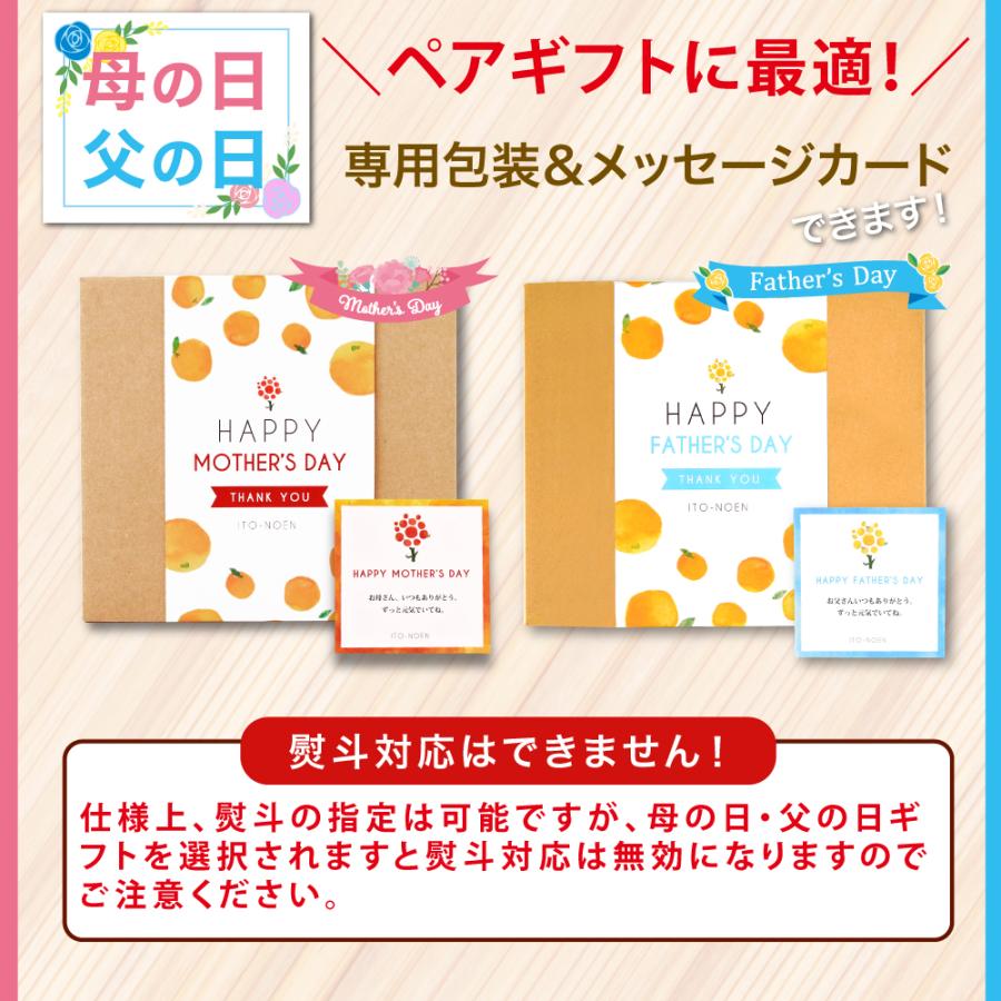 父の日 母の日ギフト 2024 みかんゼリー フルーツゼリー  無添加 健康 スイーツ ゼリー 150g 8個 パック｜ito-noen｜18