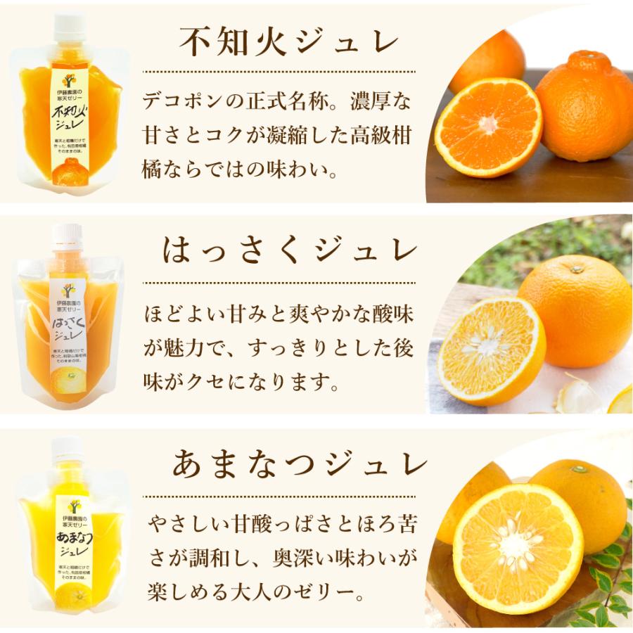 お中元  ギフト プレゼント ゼリー みかんゼリー フルーツゼリー スイーツ ゼリー詰め合わせ 150g 8個 パック | 伊藤農園 | 12