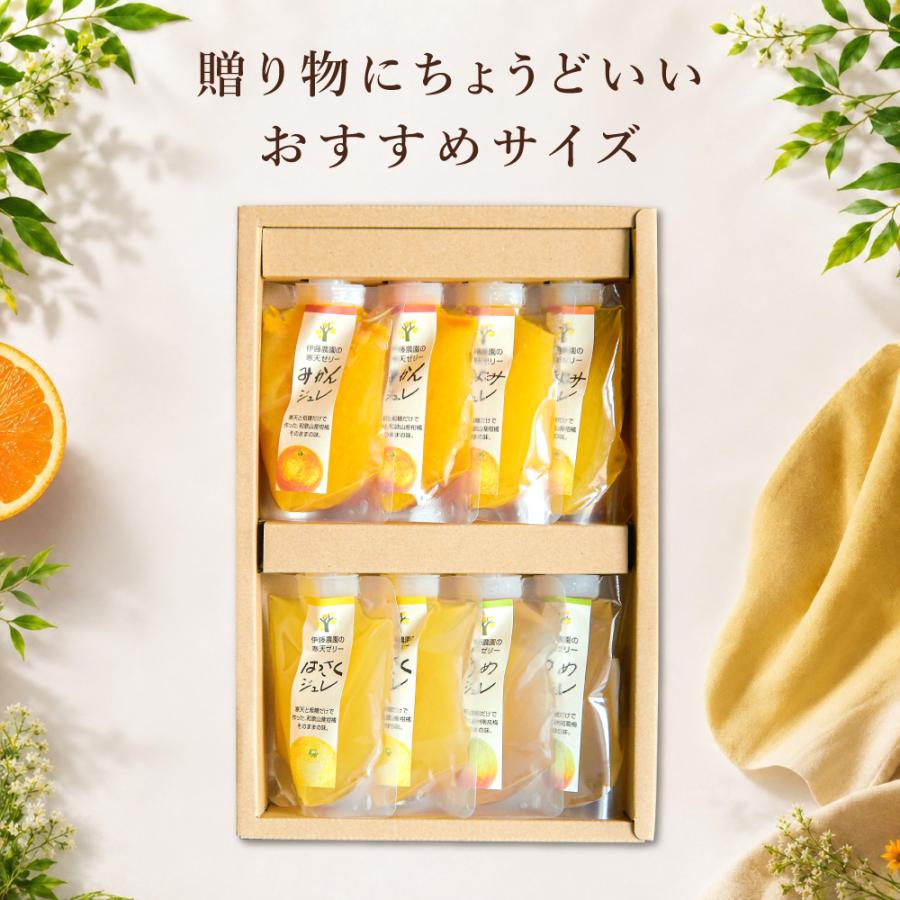 お中元  ギフト プレゼント ゼリー みかんゼリー フルーツゼリー スイーツ ゼリー詰め合わせ 150g 8個 パック | 伊藤農園 | 13