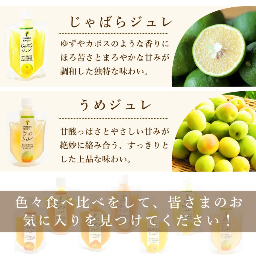 お中元  ギフト プレゼント ゼリー みかんゼリー フルーツゼリー スイーツ ゼリー詰め合わせ 150g 8個 パック | 伊藤農園 | 13