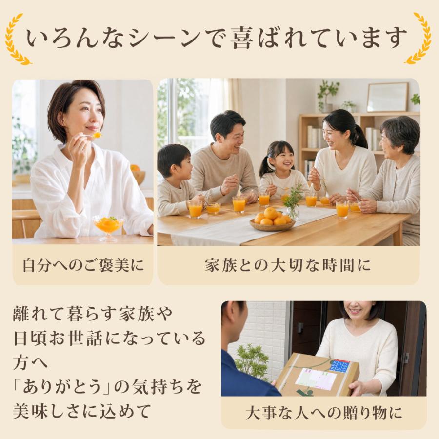 お中元  ギフト プレゼント ゼリー みかんゼリー フルーツゼリー スイーツ ゼリー詰め合わせ 150g 8個 パック | 伊藤農園 | 15