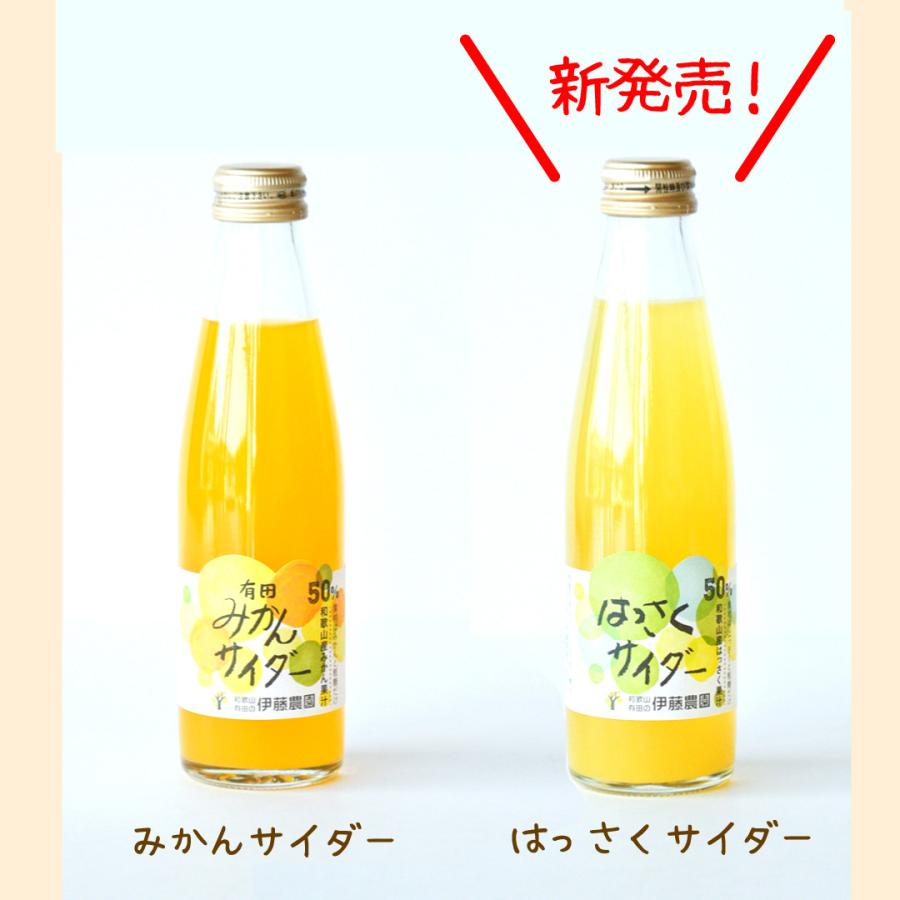 伊藤農園 ギフト プレゼント ギフト ジュース サイダー 炭酸飲料