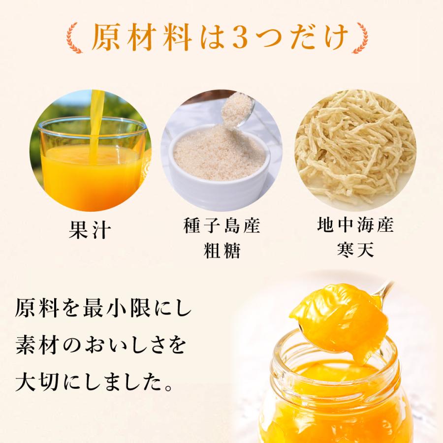 お中元 ギフト ジュース みかんジュース ストレート 無添加 オレンジジュース みかんゼリー | 伊藤農園 | 11