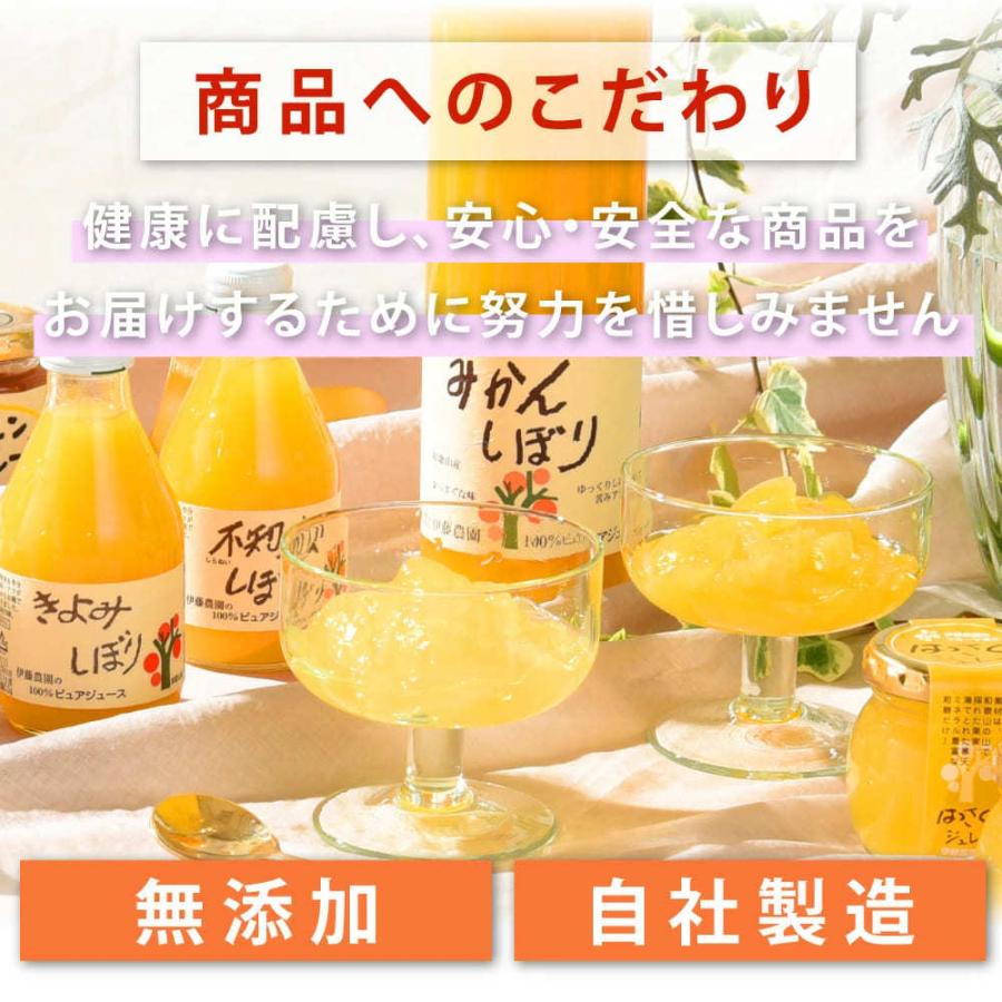 伊藤農園 ジュース お歳暮 ギフト みかんジュース オレンジジュース