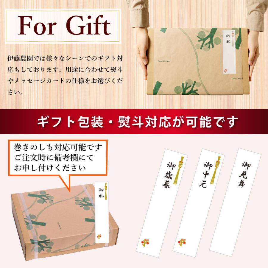 伊右衛門・はじめ一・伊藤園などグッズSET【ヴィンテージ】 伊藤農園 お歳暮 ギフト プレゼント ジュース みかんジュース オレンジ