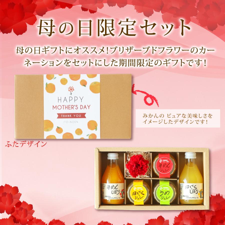 母の日 早割 ポイント+10％ ジュース ギフト プレゼント みかんジュース オレンジジュース みかんゼリー フルーツゼリー 花付き 送料無料 | 伊藤農園 | 02