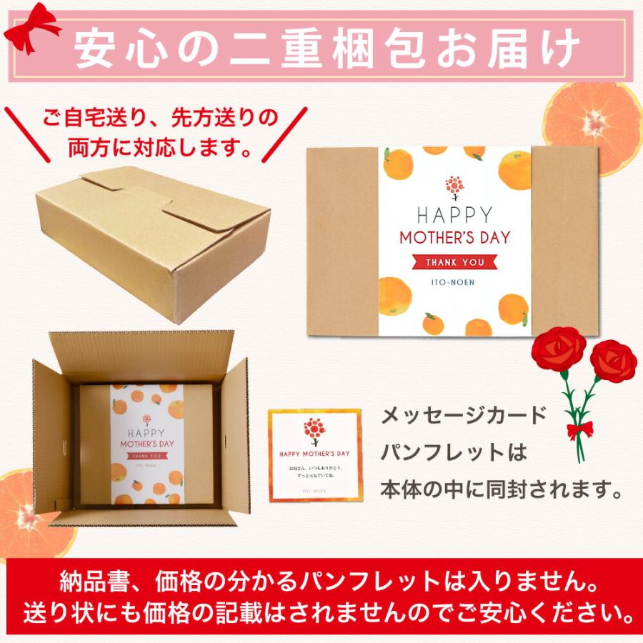 母の日 早割 ポイント+10％ ジュース ギフト プレゼント みかんジュース オレンジジュース みかんゼリー フルーツゼリー 花付き 送料無料 | 伊藤農園 | 05