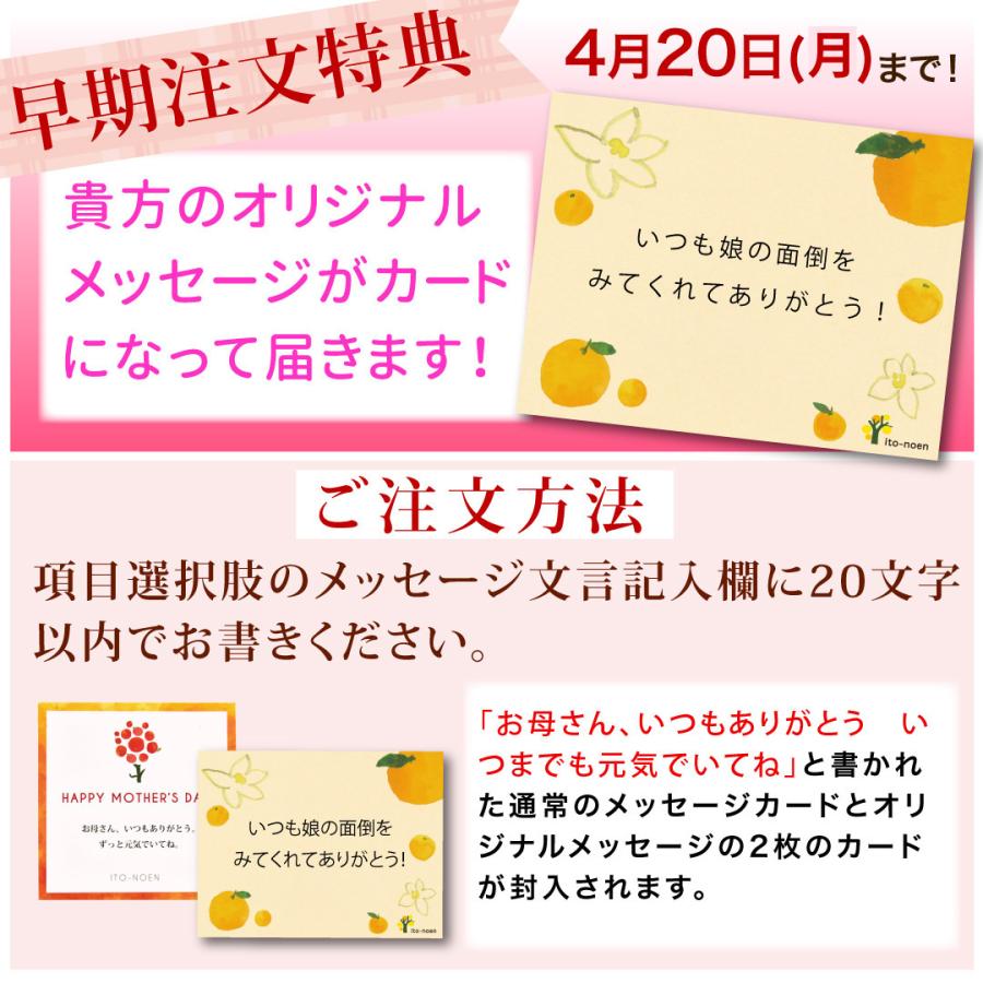 母の日 早割 ポイント+10％ ジュース ギフト プレゼント みかんジュース オレンジジュース みかんゼリー フルーツゼリー 花付き 送料無料 | 伊藤農園 | 07