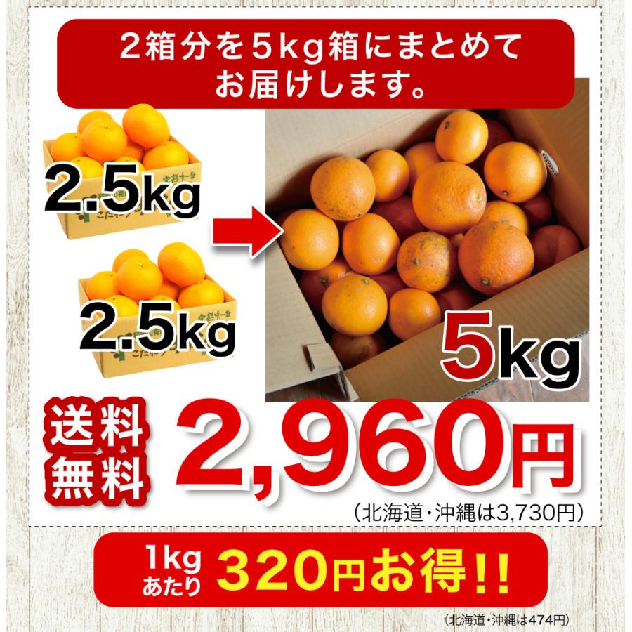 伊藤農園 2箱購入で送料無料 柑橘詰め合わせ みかん 2.5kg 福袋