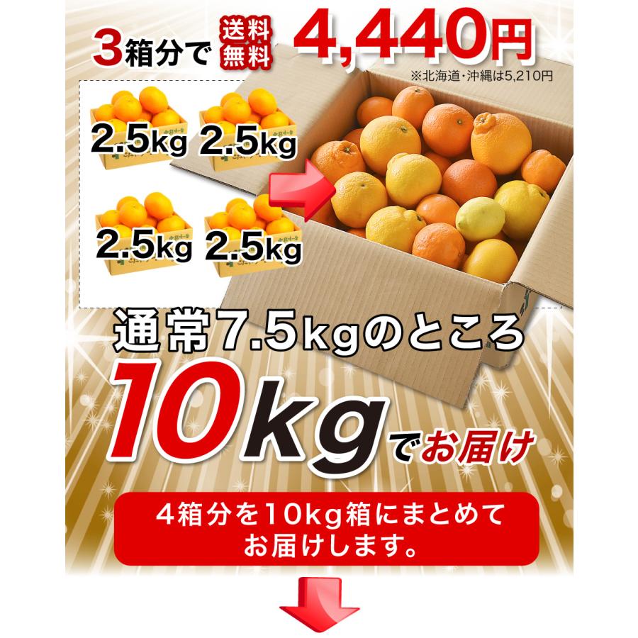 伊藤農園 2箱購入で送料無料 柑橘詰め合わせ みかん 2.5kg 福袋
