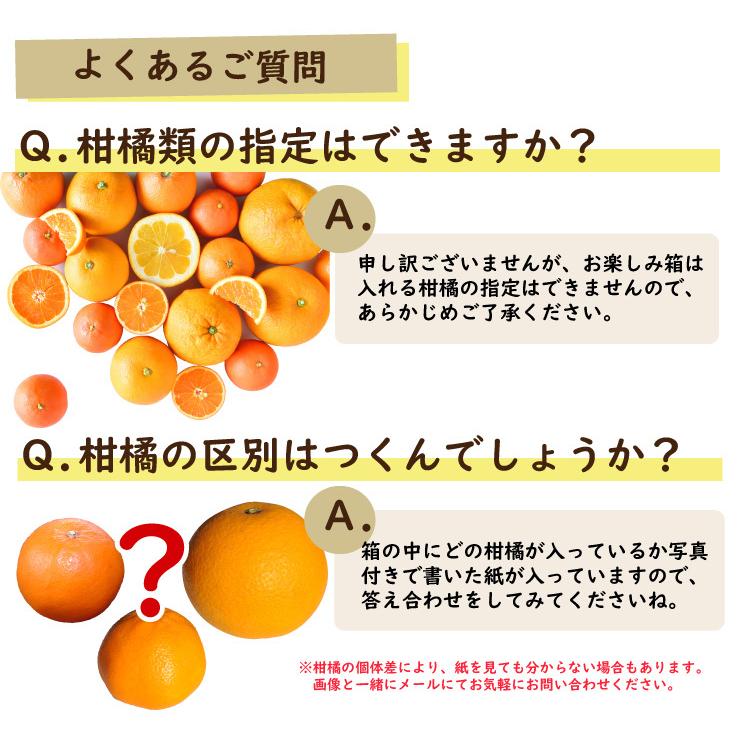 柑橘詰め合わせ みかん かんきつ類 5kg みかん以外 和歌山みかん 送料無料 防腐剤 不使用 甘夏 カラマンダリン セミノール お取り寄せ フルーツ｜ito-noen｜16