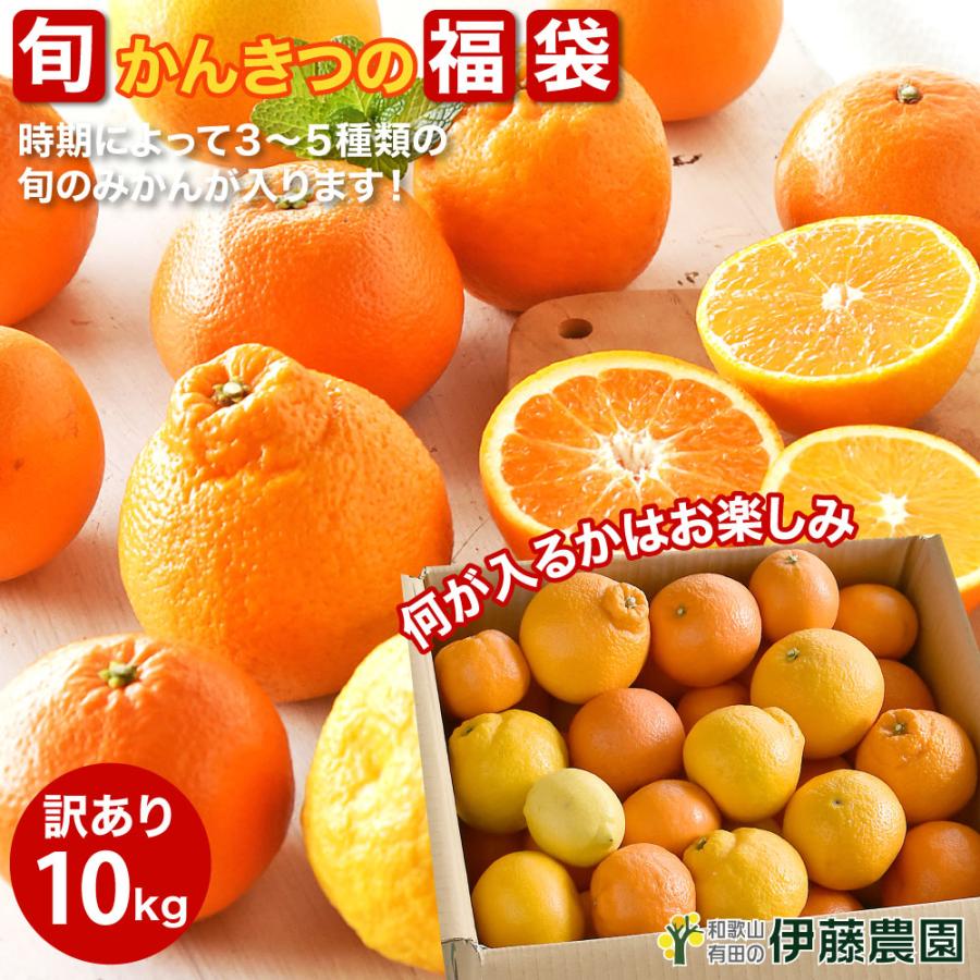 送料込】 年間この価格 １０個入り送料無料 ネーブルオレンジ バレンシアオレンジ