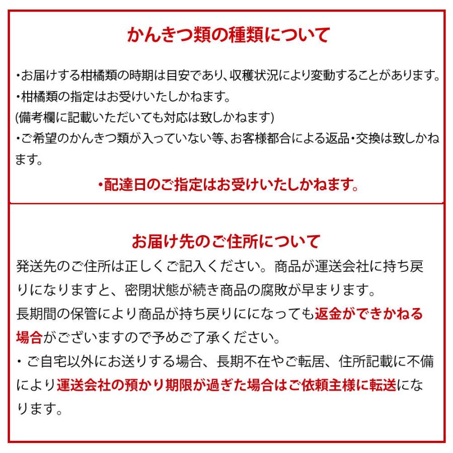 みかん 詰め合わせ かんきつ類 訳あり 10kg みかん以外 和歌山みかん 送料無料 防腐剤 不使用 北海道 沖縄 送料 770円 お取り寄せ フルーツ Zzz2 10 伊藤農園 ジュースと果実 Yahoo 店 通販 Yahoo ショッピング